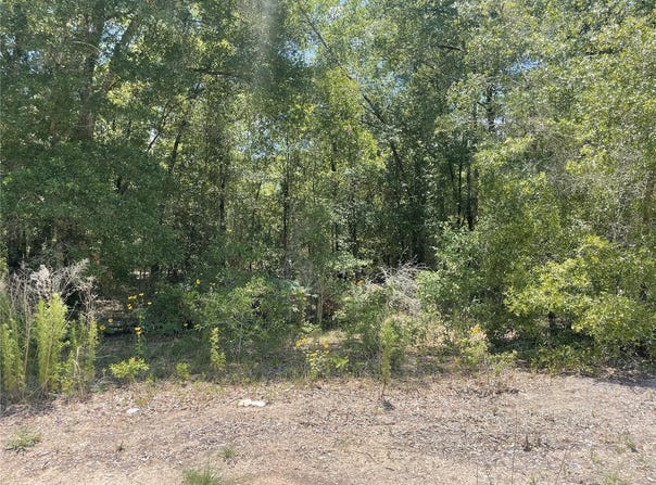 Tbd SW 22ND PLACE, OCALA, FL 34481