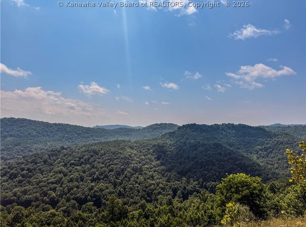 Four Mile Hollow Road, Hernshaw, WV 25107