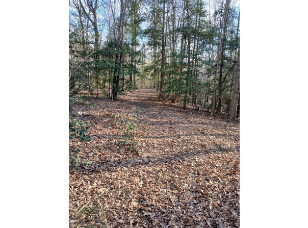0 Bull Neck Rd, Caret, VA 22436