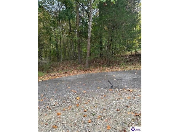 971 Penny Royal Lane, Brandenburg, KY 40108