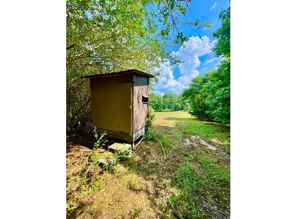0 Bailey Road, Double Springs, AL 35553
