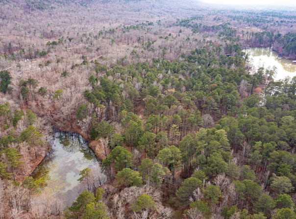 958 SMYER LAKE ROAD lot: 0, LEEDS, AL 35094