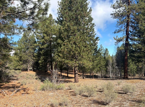 Pine Ridge Loop lot: 5, Chiloquin, OR 97624