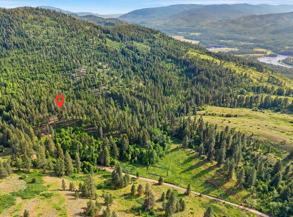 2584D BRIDGEMAN-RETTINGER RD, KETTLE FALLS, WA 99141