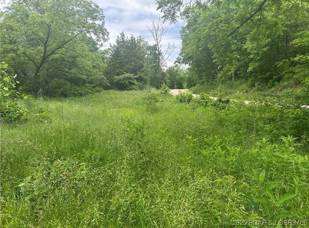 Kolb Hollow Road, Climax Springs, MO 65324