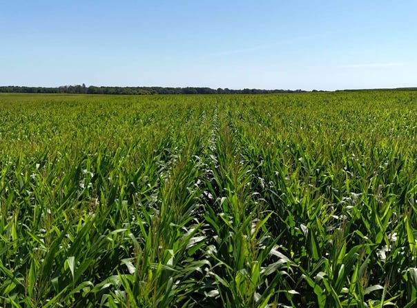 TBD Bare Land 110th St, Fredericksburg, IA 50630