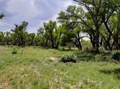 ROAD 5195, Bloomfield, NM 87413