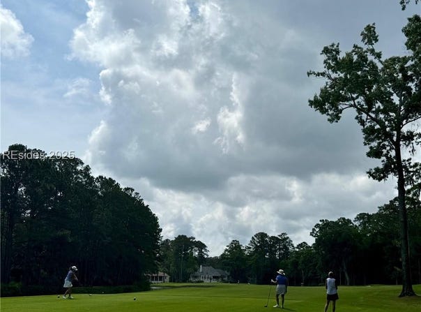 85 Winding Oak Drive, Okatie, SC 29909