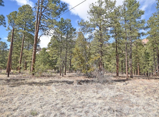 Cool Pines lot: 49A, Jemez Springs, NM 87025