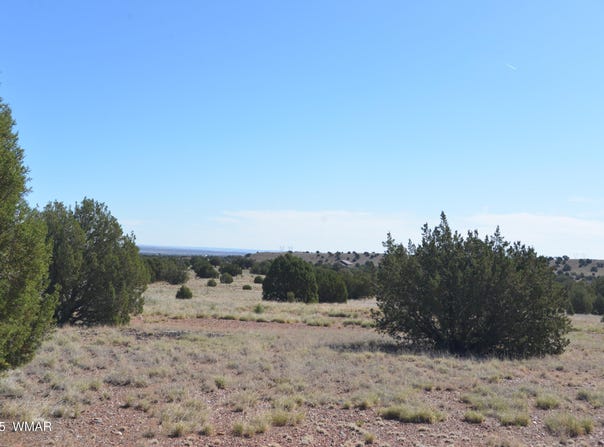 9234 N and 9218 Red River, Concho, AZ 85924