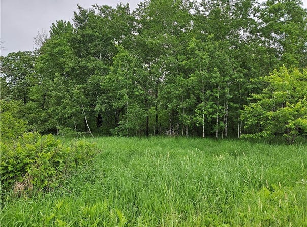 20 Acres 22 1/4 Street, Chetek, WI 54728
