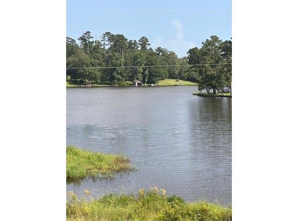 204 Pine Forest Drive, Woodville, TX 75979