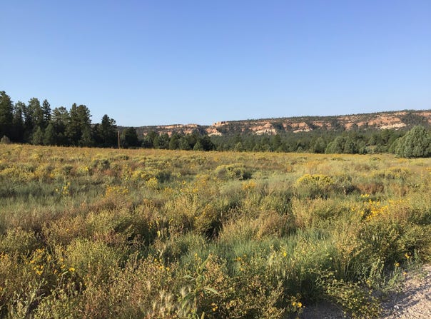 E Elk Drive lot: 14, Ramah, NM 87321
