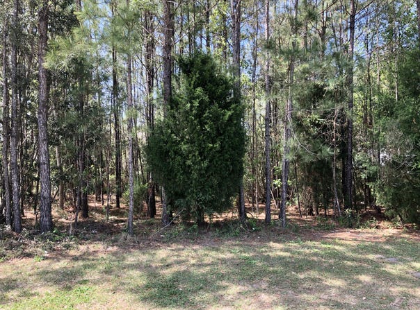 117 Wando Reach Road, Wando, SC 29492