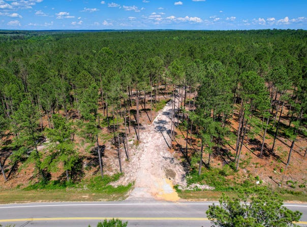 420 Acres Columbia Highway N, Ridge Spring, SC 29129
