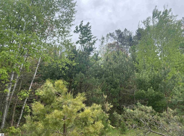 0000 Radov Road, Gladwin, MI 48624