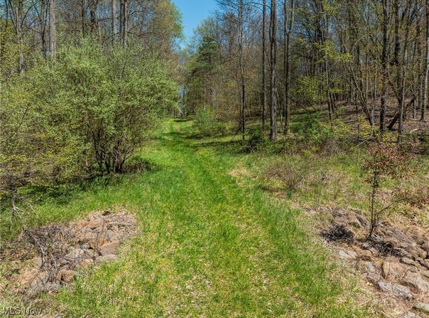 Hope Road, Mineral City, OH 44656