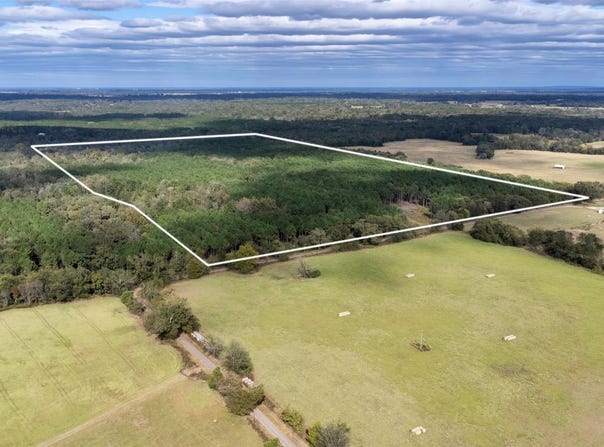 Wolf Road, Pittsburg, TX 75686
