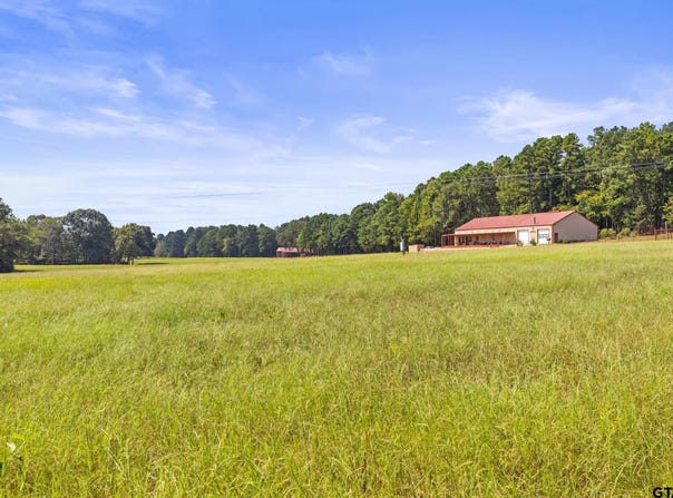 736 CR 2686, Hawkins, TX 75765