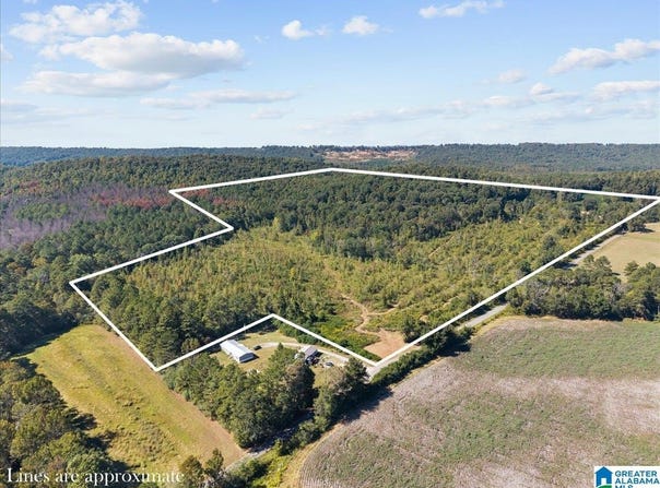 DOUGLAS LANE lot: 146, ONEONTA, AL 35121
