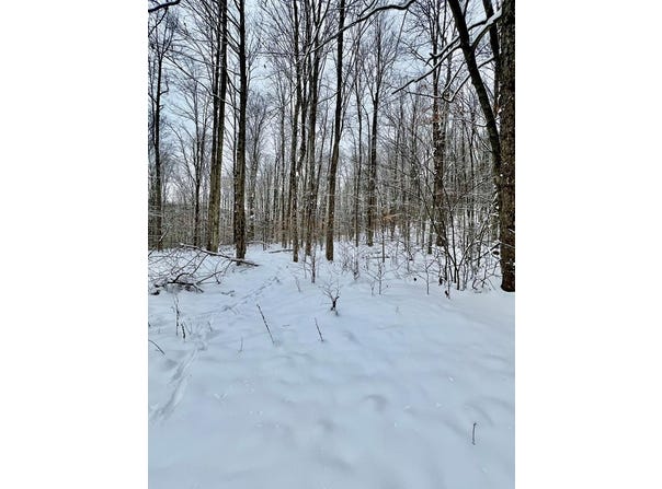 Brizzee Hollow, Genesee, PA 16923