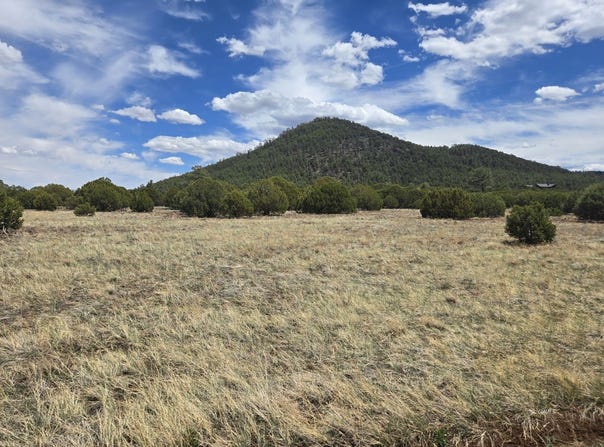 CR 3144, Pinetop/Lakeside, AZ 85935