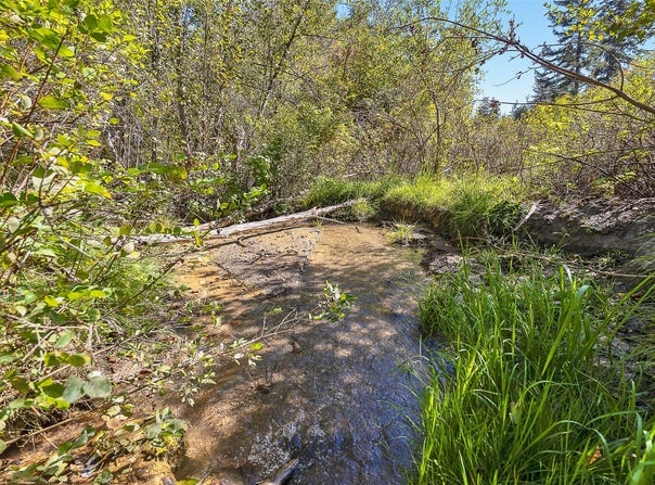 McClain Creek Meadows, Florence, MT 59833
