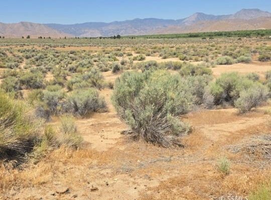 5575 Vista Grande, Weldon, CA 93283