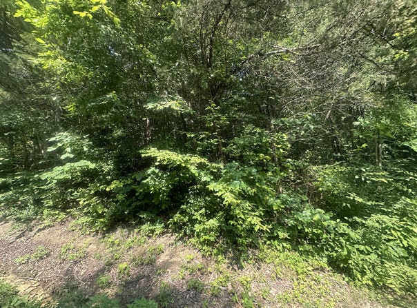 Lot 25 Rock Springs Road, Celina, TN 38551
