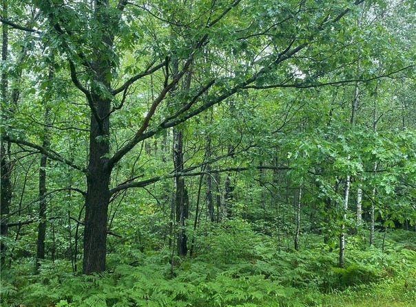 On Pennington Road, Prentice, WI 54556