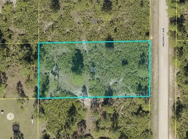 1313 Prospect Avenue, Lehigh Acres, FL 33972