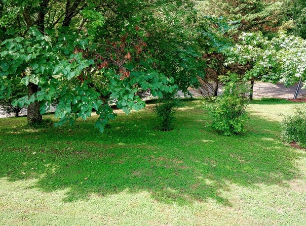 0 Laurel Street, Weber City, VA 24290