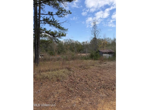 393 SW Cripple Lane, Brookhaven, MS 39601