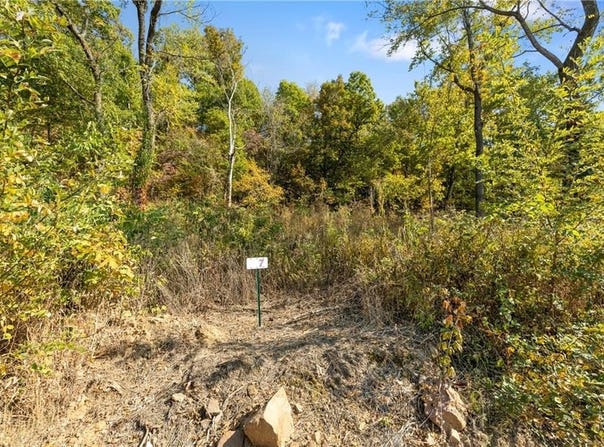 Lot 7 Peaceful  PL, Harrison, AR 72601