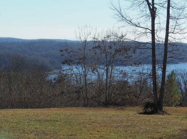 140 Quail Hollow Cove, Spring City, TN 37381