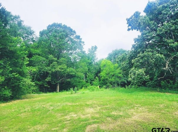 22473 FM 2208, Harleton, TX 75651