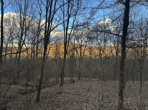 0 Lot #6 Nicholas Ridge Road, Verona, KY 41092