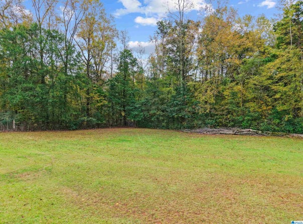 663 PARK AVENUE lot: 1, MOODY, AL 35004