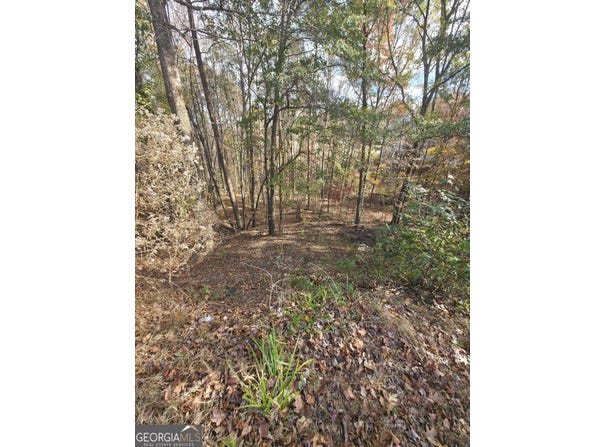 2412 Snowshoe Bend, Bethlehem, GA 30620