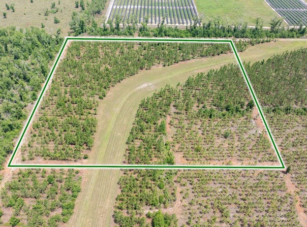 Live Oak, FL 32060