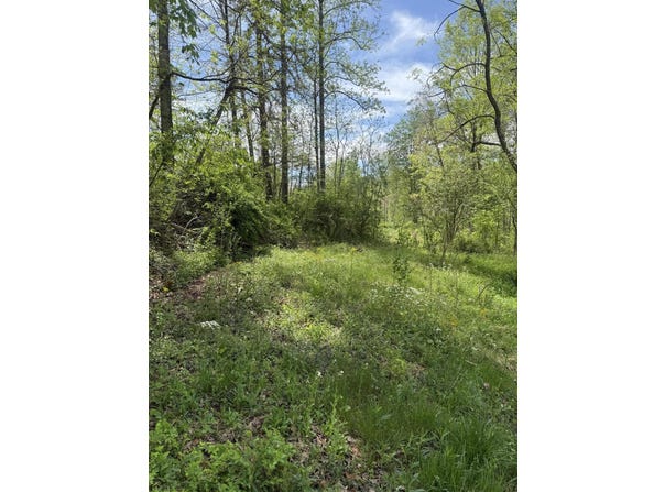 1325 State Hwy 1036, Campton, KY 41301