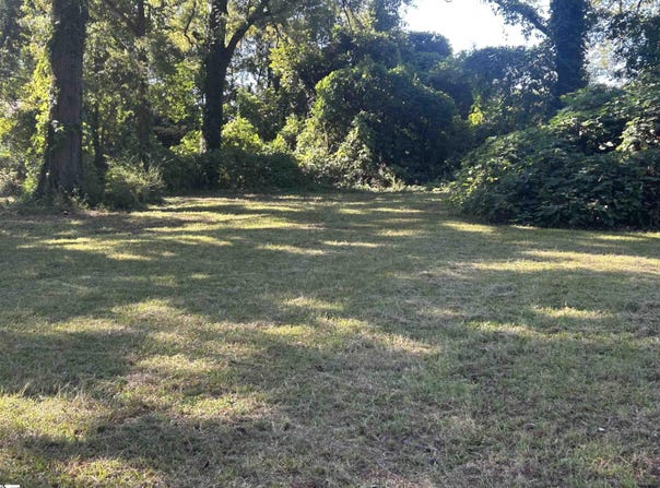 S Adair Street, Clinton, SC 29325