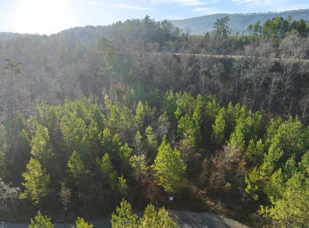 27 Painted Bunting Trail, Smithville, OK 74957