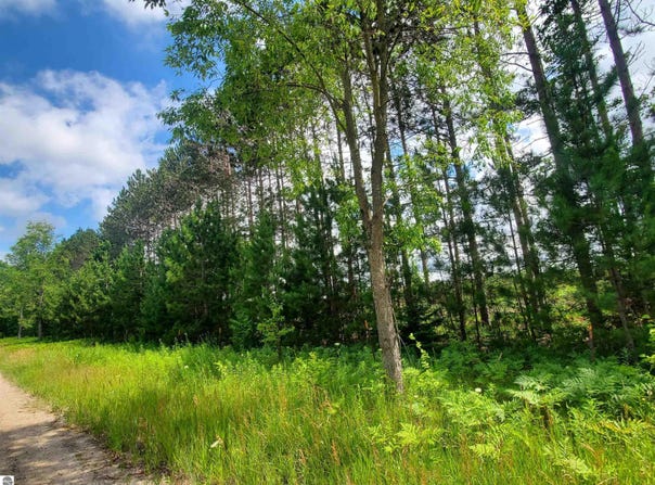 80 ACRES BEALL ROAD, BEAR LAKE, MI 49614