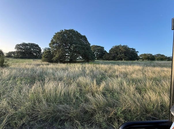3399 CR 267, Oglesby, TX 76561