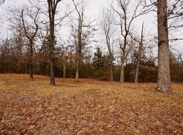 OAKRIDGE DRIVE lot: 18, Gepp, AR 72538