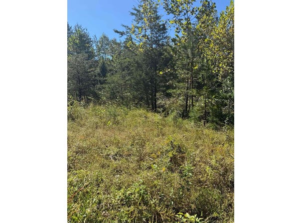 3825 Highway 191, West Liberty, KY 41472