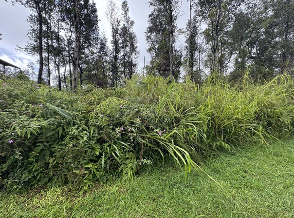OAHU ST, Pahoa, HI 96778