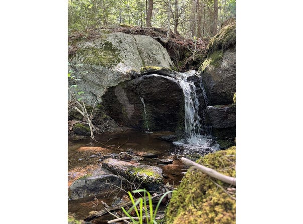 Route 9 lot: 13, Aurora, ME 04428