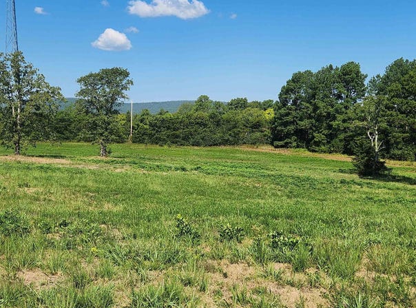 TBD Highway 298 E, Story, AR 71970-9999
